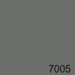 RAL 7005